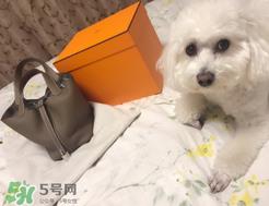 菜篮子包是什么牌子？菜篮子包是哪个品牌的？