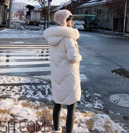 鹅绒羽绒服大概多少钱？白鹅绒羽绒服多少钱一件？