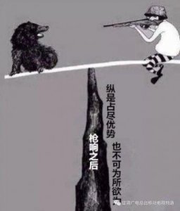 ​《永夜星河》对决《珠帘玉幕》：95后小花虞书欣与赵露思的网红争议与明星之路