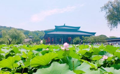 ​同样是“三国城”，合肥明明更有历史底蕴，为什么做不过无锡？