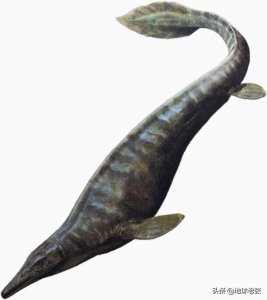 ​史前生物图鉴140-浮龙
