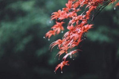 ​今日看歌词-听见下雨的声音