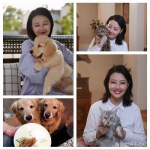 ​周海媚一周年纪念：李勤勤照顾爱犬，延续善良与温暖