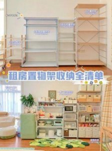 ​荧戴上小玩具调到10档：家庭收纳的巧妙技巧