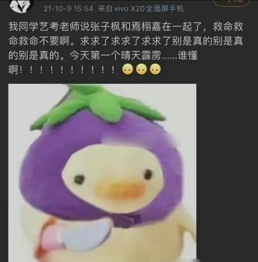 张子枫恋情风波（张子枫恋情疑曝光）(7)