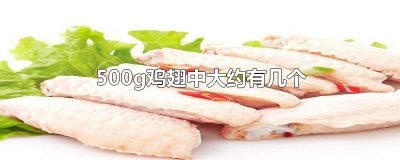 ​500g鸡翅中大约有几个