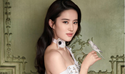 ​刘亦菲陈金飞近况如何？深扒刘亦菲母女和陈金飞到底什么关系？