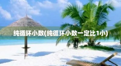 ​纯循环小数(纯循环小数一定比1小)