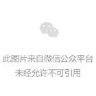 外国人看完中国大阅兵表白 还有人@特朗普:真的酷