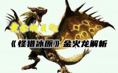 ​黄金的月轮-《怪猎冰原》金火龙全方位解析