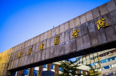 ​北京电影学院表演专业录取原则（北京电影学院表演系怎么考）