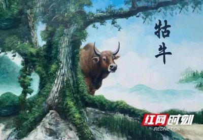 ​散文丨“牯牛”与“耕耘”