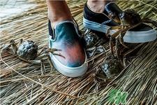 vans与acu合作款鞋子多少钱?vans与acu合作款鞋子价格 vans与acu合作款鞋子多少钱?vans与acu合作款鞋子价格