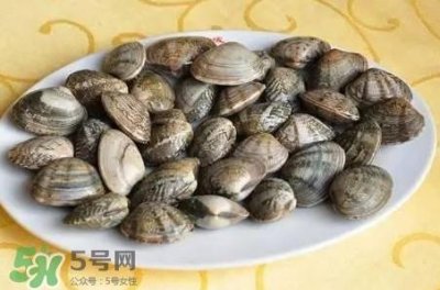 ​蛤蜊和花甲一样吗？蛤蜊和花甲的区别