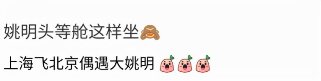 哪些明星有私人飞机(13位明星有私人飞机) 明星 第2张