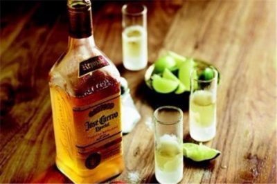 ​龙舌兰酒是什么酒 龙舌兰酒一般多少钱