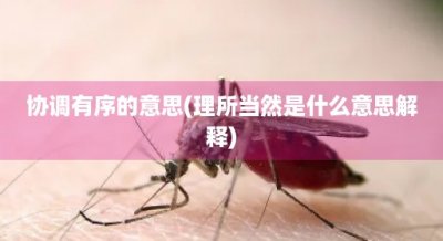 ​协调有序的意思(理所当然是什么意思解释)