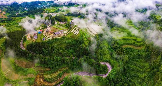 张家界的特色地貌是(什么是张家界地貌)(18)