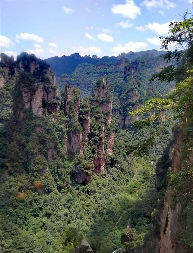张家界的特色地貌是(什么是张家界地貌)(7)