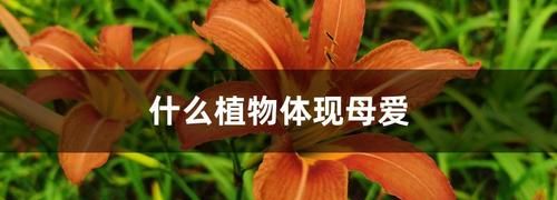 对别人母亲的雅称是什么