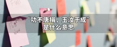 ​功不唐捐玉汝于成什么意思（功不唐捐是什么意思）