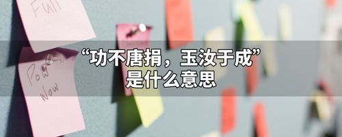 功不唐捐玉汝于成什么意思,功不唐捐是什么意思