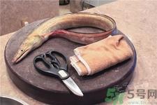 鳗鱼是黄鳝吗?鳗鱼和鳝鱼的区别 鳗鱼是黄鳝吗?鳗鱼和鳝鱼的区别