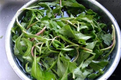 ​马兰头是什么季节的蔬菜 马兰头几月份有