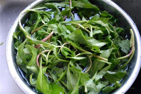 马兰头是什么季节的蔬菜 马兰头几月份有