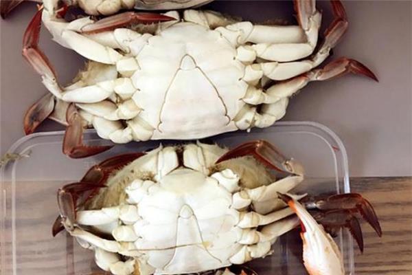 二母梭子蟹几月最肥 二母梭子蟹是什么意思