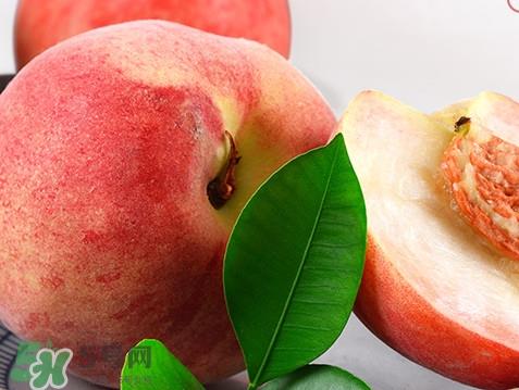脆桃是什么品种?脆桃什么时候上市 脆桃是什么品种?脆桃什么时候上市