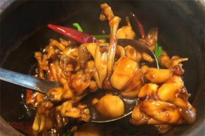 ​田鸡不能和什么一起吃 田鸡什么人不能吃