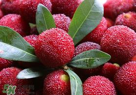 杨梅籽可以吃吗?吃杨梅籽有什么好处? 杨梅籽可以吃吗?吃杨梅籽有什么好处?