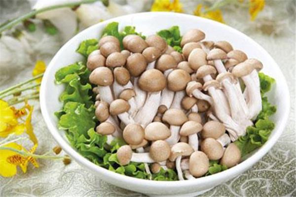 蟹味菇适合减肥吗 蟹味菇减肥可以吃吗