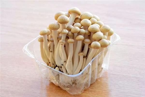 蟹味菇适合减肥吗 蟹味菇减肥可以吃吗