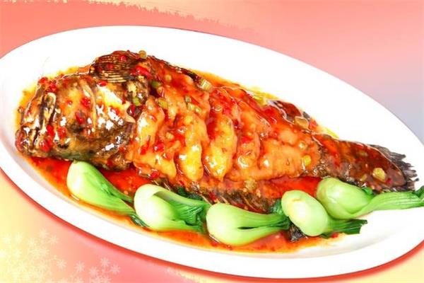 糖尿病可以吃石斑鱼吗 高血压可以吃石斑鱼吗 糖尿病可以吃石斑鱼吗 高血压可以吃石斑鱼吗