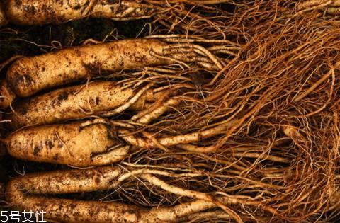 园参的价格是多少 选购技巧 园参的价格是多少 选购技巧