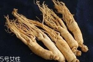 园参的价格是多少 选购技巧 园参的价格是多少 选购技巧