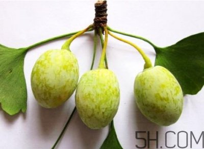 ​白果为什么是苦的 白果苦能吃吗