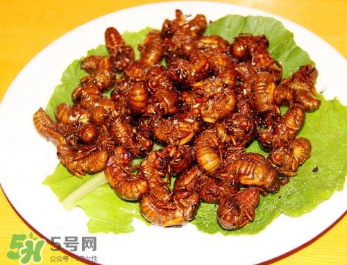 知了猴为什么要用盐水泡?知了猴用盐水泡多久? 知了猴为什么要用盐水泡?知了猴用盐水泡多久?