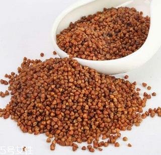 黑苦荞茶上火吗?蒸煮法苦荞茶不上火 黑苦荞茶上火吗?蒸煮法苦荞茶不上火