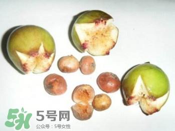 野地瓜滕熬水吃能治疗什么病？野地瓜怎么吃