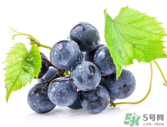 夏黑葡萄为什么掉色？夏黑葡萄怎么会染色？