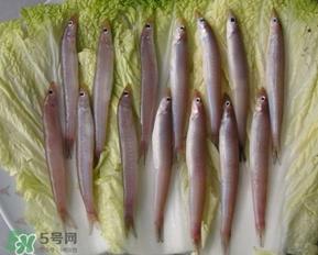 青岛面条鱼是什么鱼?青岛面条鱼叫什么 青岛面条鱼是什么鱼?青岛面条鱼叫什么