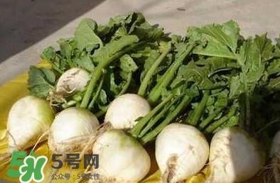 芥菜疙瘩孕妇能吃吗?孕妇可以吃芥菜疙瘩吗 芥菜疙瘩孕妇能吃吗?孕妇可以吃芥菜疙瘩吗