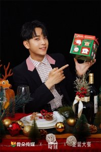 ​陈若轩圣诞精致帅气写真图片