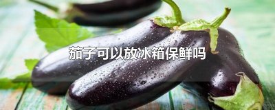 ​茄子可以放冰箱保鲜吗