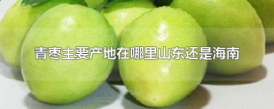 ​青枣主要产地在哪里山东还是海南