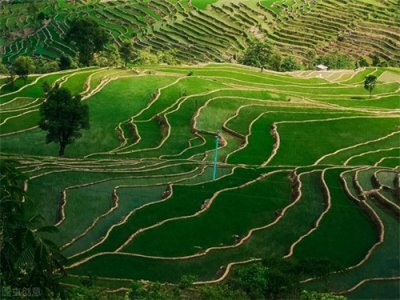 ​北魏孝文帝改革的内容，历史意义，及其革命性