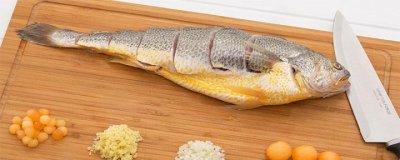 ​东北叫大王鱼是什么鱼